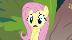 Size: 1920x1080 | Tagged: safe, derpibooru import, screencap, fluttershy, pegasus, pony, she talks to angel, female, key, open mouth, solo, tree, worried