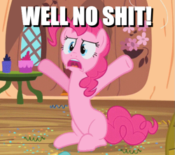 Size: 593x527 | Tagged: safe, derpibooru import, edit, edited screencap, screencap, pinkie pie, earth pony, pony, secret of my excess, caption, cropped, golden oaks library, image macro, solo, text, vulgar