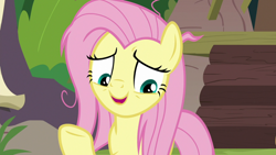 Size: 1920x1080 | Tagged: safe, derpibooru import, screencap, fluttershy, pegasus, pony, she talks to angel, female, mare, messy mane, solo