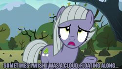 Size: 1280x720 | Tagged: safe, edit, edited screencap, editor:jaredking203, screencap, limestone pie, earth pony, the maud couple, caption, female, image macro, mare, meme, raised hoof, text