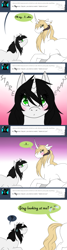 Size: 661x2480 | Tagged: safe, artist:theblackcatstale, oc, oc only, oc:july winters, demon, demon pony, original species, pony, unicorn, ask, embarrassed, horn, looking at each other, nervous, tumblr, unicorn oc