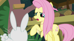 Size: 1920x1080 | Tagged: safe, derpibooru import, screencap, angel bunny, fluttershy, pegasus, pony, rabbit, she talks to angel, animal, duo, female, hoof hold, male, mare, messy mane, raised hoof