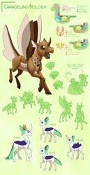 Size: 3000x5800 | Tagged: safe, artist:jackiebloom, ocellus, silverstream, changeling, changeling queen, classical hippogriff, hippogriff, moth, mothling, original species, absurd resolution, anatomy, beanbag chair, brown changeling, female, headcanon, simple background, species swap, worldbuilding