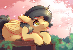 Size: 4000x2750 | Tagged: safe, alternate version, artist:ardail, oc, oc:crisom chin, pegasus, pony, :p, cherry blossoms, cute, flower, flower blossom, prone, raffle prize, solo, tongue out, wings