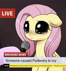 Size: 1757x1881 | Tagged: safe, artist:moozua, derpibooru import, edit, editor:jacktheguy, fluttershy, pegasus, pony, big eyes, blushing, breaking news, crying, crying cat, cute, dilated pupils, exploitable meme, female, floppy ears, hoof hold, hooves, implied princess luna, looking at you, mare, meme, microphone, missing cutie mark, news meme, offscreen character, ponified meme, sad, sadorable, shyabetes, solo, solo focus, teary eyes, text, this will end in pain and/or death