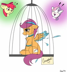 Size: 1280x1373 | Tagged: safe, artist:monsoonvisionz, apple bloom, scootaloo, sweetie belle, earth pony, pegasus, pony, unicorn, cage, collar, colored wings, colored wingtips, confused, cutiemarking, feather, female, filly, implied rainbow dash, laughing, scootaloo is not amused, simple background, sitting, spread wings, two toned wings, unamused, white background, wings, wristband