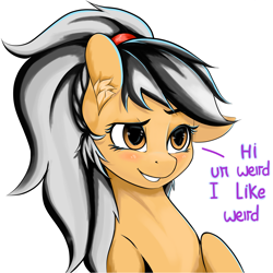 Size: 4096x4096 | Tagged: safe, artist:xxpaw2001xx, oc, oc only, pony, female, simple background, smiling, solo, white background