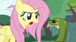 Size: 1920x1080 | Tagged: safe, derpibooru import, screencap, antoine, fluttershy, pegasus, pony, python, snake, she talks to angel, duo, female, mare, messy mane, open mouth