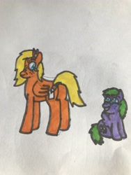 Size: 3024x4032 | Tagged: safe, artist:whistle blossom, oc, oc:autumn breeze (whistle blossom), oc:whistle blossom, pegasus, pony, butt, cute, dock, duo, female, filly, flower, flower in hair, foal, looking back, marker drawing, plot, siblings, simple background, sisters, standing, teenager, traditional art, whistlebetes, white background