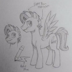 Size: 1024x1024 | Tagged: artist needed, safe, oc, oc only, pegasus, pony, bust, duo, lineart, male, pegasus oc, pencil, reference sheet, smiling, solo, stallion, text, traditional art, wings