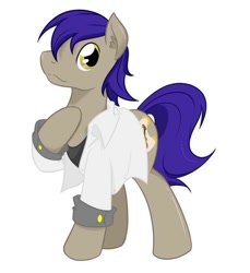 Size: 600x654 | Tagged: artist needed, safe, oc, oc only, earth pony, pony, clothes, earth pony oc, hoof on chest, jacket, male, raised hoof, shirt, simple background, solo, stallion, standing, t-shirt, three quarter view, white background