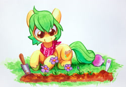 Size: 2884x2007 | Tagged: safe, artist:dawnfire, oc, oc only, earth pony, pony, bandana, flower, gardening, prone, solo