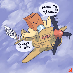 Size: 1000x1000 | Tagged: safe, artist:true-niebiosa, oc, oc:paper bag, earth pony, pony, guess i'll die, oh dear, p-40 warhawk, plane, this will end in death