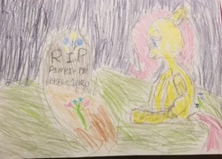 Size: 2738x1960 | Tagged: safe, artist:joeydr, derpibooru import, fluttershy, pegasus, pony, female, gravestone, implied death, implied pinkie pie, mare, redraw, remake, sad, signature, solo, traditional art