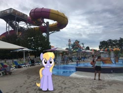 Size: 2049x1537 | Tagged: safe, artist:bluemeganium, artist:topsangtheman, cloud kicker, pegasus, pony, irl, looking at you, michigan, photo, ponies in real life, water park, water slide