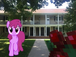 Size: 2049x1537 | Tagged: safe, artist:estories, artist:topsangtheman, berry punch, berryshine, earth pony, pony, topsangtheman's minecraft server, berry, food, house, irl, looking at you, minecraft, offscreen character, photo, photoshopped into minecraft, ponies in real life, pov, tree