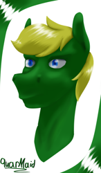 Size: 500x857 | Tagged: safe, artist:quarmaid, oc, earth pony, pony, blue eyes, earth pony oc, head, yellow hair