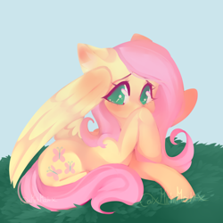 Size: 1900x1900 | Tagged: safe, artist:x-michimochi-x, derpibooru import, fluttershy, pegasus, pony, colored pupils, cute, female, looking at you, mare, shyabetes, solo