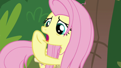 Size: 1920x1080 | Tagged: safe, derpibooru import, screencap, fluttershy, pegasus, pony, she talks to angel, female, mare, open mouth, raised hoof, solo