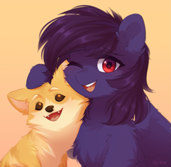 Size: 1047x1021 | Tagged: safe, artist:solnuh, oc, oc:pestyskillengton, dog, pegasus, pony, bust, doge, female, mare, portrait, shiba inu, shibe, solo