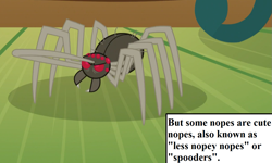 Size: 1215x729 | Tagged: safe, edit, edited screencap, screencap, spider, scare master, cropped, cute, fuzzy legs, fuzzybetes, inset, lucidchart, salute, text