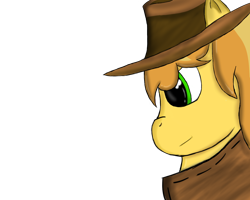 Size: 1280x1024 | Tagged: safe, artist:crescentpony, braeburn, earth pony, pony, bust, clothes, hat, male, simple background, solo, stallion, transparent background