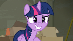 Size: 1920x1080 | Tagged: safe, screencap, twilight sparkle, twilight sparkle (alicorn), alicorn, pony, the saddle row review, cardboard box, female, mare, smiling, solo