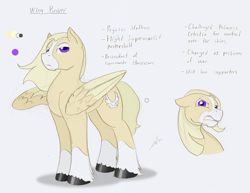 Size: 1058x816 | Tagged: safe, artist:ravenpuff, oc, oc only, pegasus, pony, bust, male, reference sheet, stallion, story included, text, unshorn fetlocks