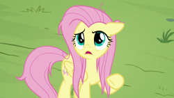 Size: 1920x1080 | Tagged: safe, derpibooru import, screencap, fluttershy, pegasus, pony, she talks to angel, female, floppy ears, mare, messy mane, messy tail, open mouth, solo