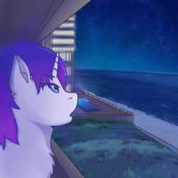 Size: 4096x4096 | Tagged: safe, artist:legionsunite, oc, oc:magenta pulse, pony, unicorn, apartment, beach, female, looking up, mare, night, solo, stars