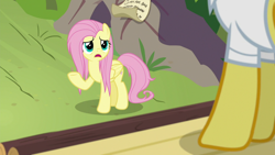 Size: 1920x1080 | Tagged: safe, derpibooru import, screencap, doctor fauna, fluttershy, pegasus, pony, she talks to angel, female, mare, messy mane, raised hoof