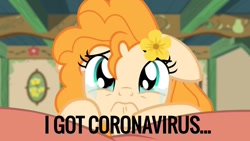 Size: 1280x720 | Tagged: safe, edit, edited screencap, screencap, pear butter, the perfect pear, coronavirus, covid-19, crying, dude not funny, meme, sad, this will not end well, too soon, we are going to hell