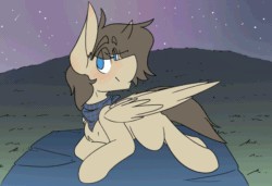 Size: 1050x720 | Tagged: safe, artist:kirbirb, oc, oc only, oc:snaggletooth, pegasus, animated, blinking, frame by frame, freckles, night, night sky, sky, stargazing, tail wag