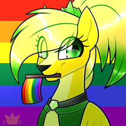 Size: 1770x1770 | Tagged: safe, artist:little_gummy_bear_47, oc, oc only, oc:mia mesa, clothes, coat, collar, female, gem, happy, pride, pride flag, solo