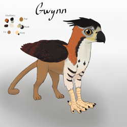 Size: 2560x2560 | Tagged: safe, artist:gammahoof, oc, oc:gwynn, griffon, high res, male, piercing, reference sheet, simple background, smiling, solo