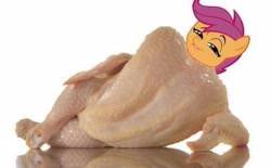 Size: 506x313 | Tagged: safe, scootaloo, bird, chicken, cursed image, draw me like one of your french girls, not salmon, op is a cuck, scootachicken, simple background, solo, thanks i hate it, wat, white background, why