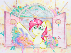 Size: 4032x3024 | Tagged: safe, artist:papersurgery, roseluck, earth pony, pony, cute, female, flower, looking at you, mare, open mouth, solo, traditional art, watercolor painting, window
