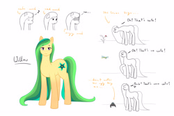 Size: 3300x2200 | Tagged: safe, artist:naliceindragonland, oc, oc only, oc:willow wish, dragonfly, earth pony, insect, ladybug, pony, spider, cross-popping veins, female, long mane, mare, offspring, parent:big macintosh, parent:fluttershy, parents:fluttermac, simple background, solo, white background