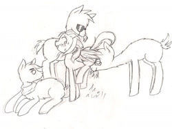 Size: 2012x1501 | Tagged: safe, artist:askponybrandenburg, llama, pegasus, pony, brandenburg, eating, female, grass, hetalia, lineart, mare, monochrome, ponified, smiling