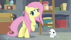 Size: 1920x1080 | Tagged: safe, derpibooru import, screencap, angel bunny, fluttershy, pegasus, pony, rabbit, she talks to angel, animal, duo, female, ladder, male, mare, messy mane, raised hoof