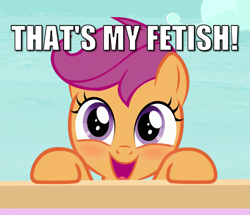 Size: 753x648 | Tagged: safe, edit, edited screencap, screencap, scootaloo, pony, blushing, caption, cropped, episode needed, female, filly, image macro, solo, text, that is my fetish