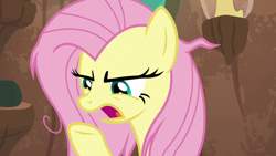 Size: 1920x1080 | Tagged: safe, derpibooru import, screencap, fluttershy, pegasus, pony, she talks to angel, angry, female, mare, messy mane, open mouth, solo