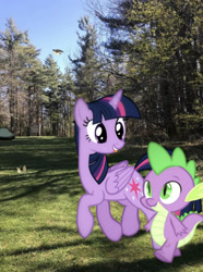 Size: 1242x1669 | Tagged: safe, photographer:undeadponysoldier, spike, twilight sparkle, twilight sparkle (alicorn), alicorn, bird, pony, squirrel, cascade falls, dragons in real life, falcon, forest, grass, happy, hiking, irl, nature, photo, ponies in real life, rock, tongue out, tree