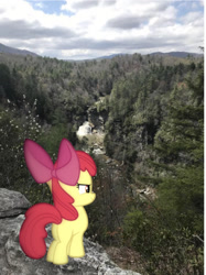Size: 1086x1455 | Tagged: safe, photographer:undeadponysoldier, apple bloom, earth pony, pony, bow, cliff, female, filly, irl, linville falls, majestic, majestic as fuck, nature, photo, ponies in real life, solo, water