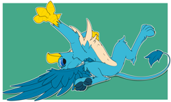 Size: 1967x1174 | Tagged: safe, artist:starrypallet, gallus, griffon, behaving like a cat, catbird, cute, featureless crotch, gallabetes, griffons doing cat things, male, pale belly, paws, simple background, solo, spread wings, stretching, upside down, wings