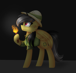 Size: 706x680 | Tagged: safe, artist:clairedaartiste444, daring do, pegasus, pony, cheek fluff, hat, hoof hold, pith helmet, solo, torch