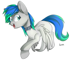 Size: 866x683 | Tagged: safe, artist:fantom, oc, oc only, oc:henry, pegasus, pony, collar, cute, eyebrows visible through hair, fangs, female, looking at you, mare, open mouth, rule 63, signature, simple background, smiling, solo, spread wings, transparent background, wings