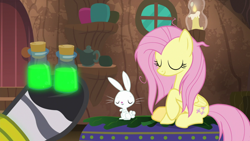 Size: 1920x1080 | Tagged: safe, derpibooru import, screencap, angel bunny, fluttershy, zecora, pegasus, pony, rabbit, she talks to angel, animal, bottle, duo focus, eyes closed, female, hoof hold, male, mare, messy mane, potion, raised hoof, sitting, zecora's hut