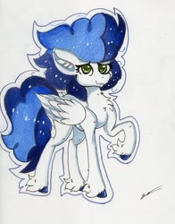 Size: 2321x2957 | Tagged: safe, artist:luxiwind, high winds, pony, high res, solo, traditional art