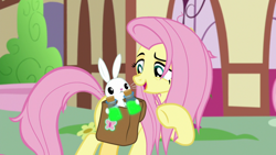 Size: 1920x1080 | Tagged: safe, derpibooru import, screencap, angel bunny, fluttershy, pegasus, pony, rabbit, she talks to angel, animal, bag, bottle, duo, female, male, mare, messy mane, ponyville, potion, raised hoof, saddle bag